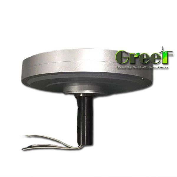 12-450V Generador de imán permanente sin núcleo personalizado Rotor externo / rotor interno Tipo de eje horizontal y vertical