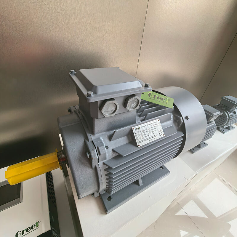 Motor de imán permanente con montaje de brida con clasificación IP54 y 0-3000 RPM para aplicaciones industriales