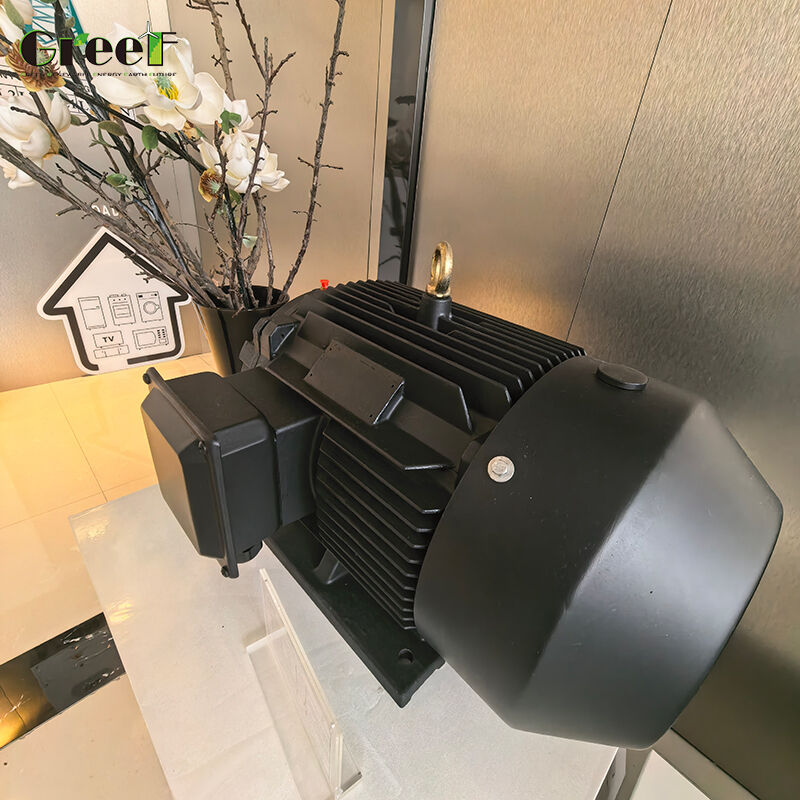 6 Poles Permanent Magnet Motor with High Efficiency >95% and Insulating Resistance 100Mohm Min 500Vdc for Industrial Applications