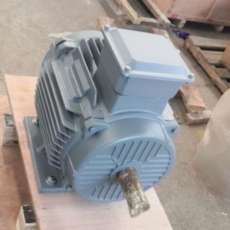24V-1140V Motor de imán permanente sin escobillas que ofrece clasificación de grado IP54 Optimizado para soluciones de maquinaria de automatización y energía