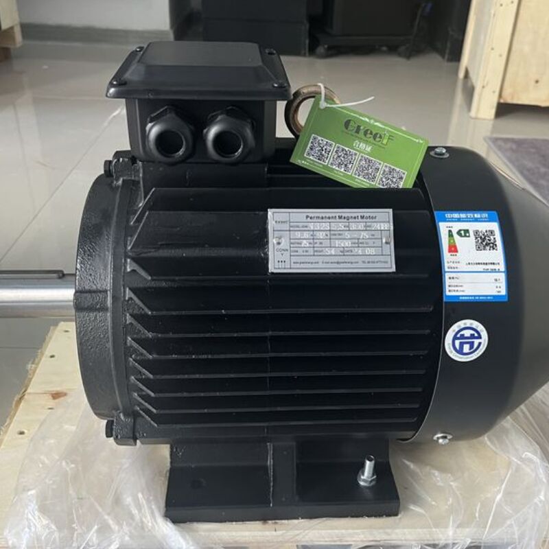 Eficiencia superior al 95% Potencia nominal del motor magnético 750w 5Mw Diseñado para rendimiento en fabricación y procesamiento
