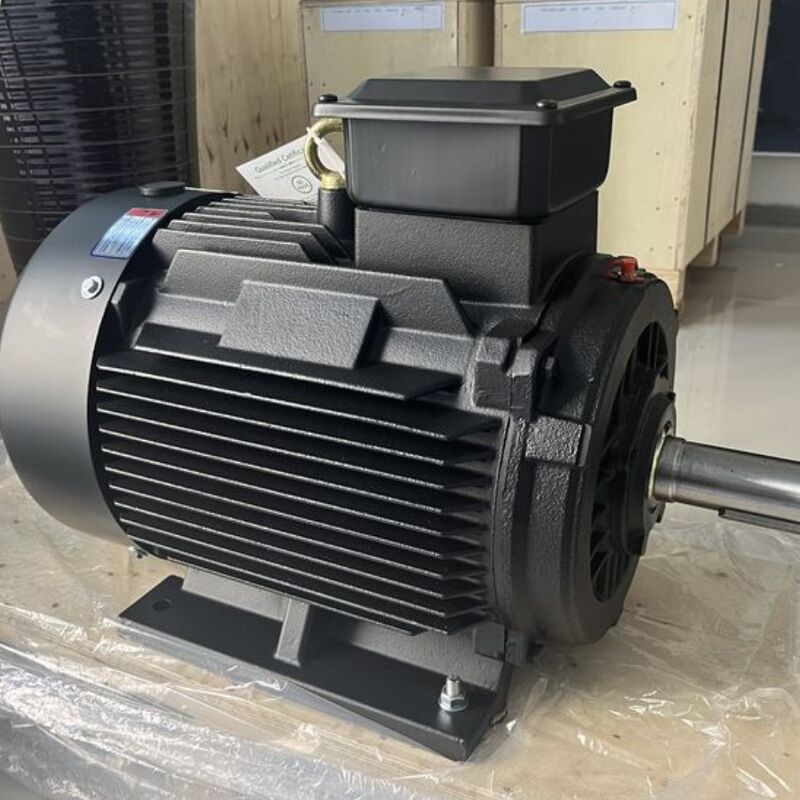 Motor de imán permanente de alta eficiencia con resistencia de aislamiento mínima de 100Mohm, polos personalizables y rodamiento SKF