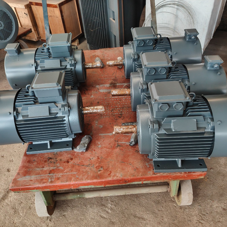 Motor síncrono de imán permanente con bajo aumento de temperatura, aislamiento Clase F y protección IP55