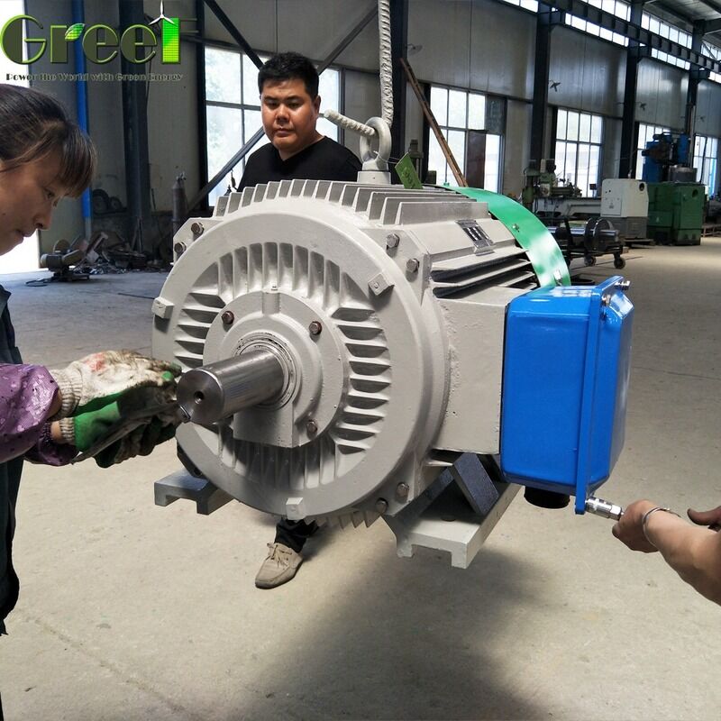 Velocidad de rotación nominal 20 rpm 3000 rpm Generador de imán permanente 1 Fase 3 Fase de salida de energía varía según el diseño del tamaño