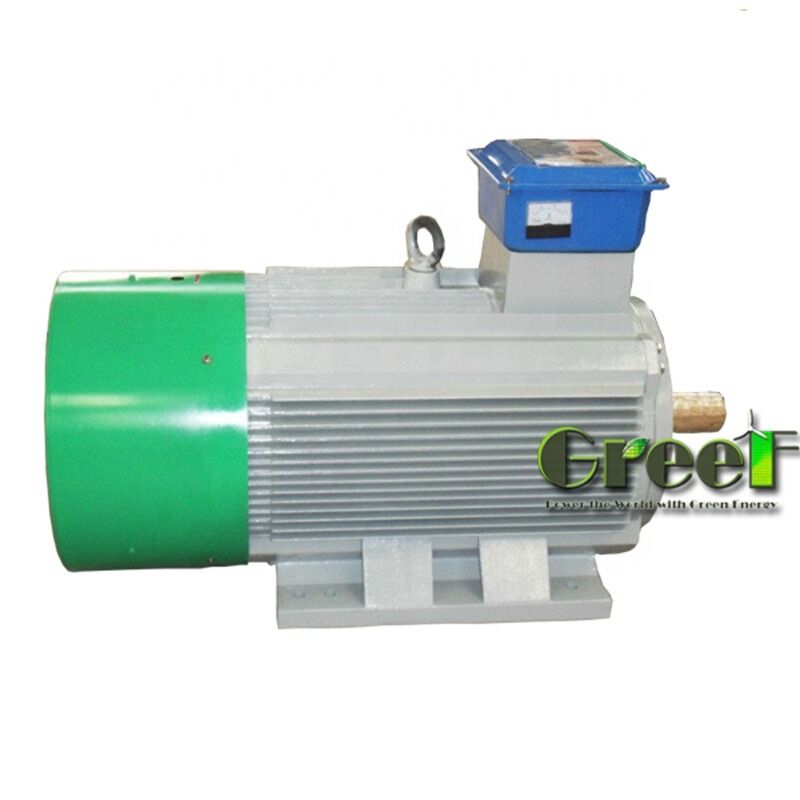 Class F Insulation Permanent Magnet Motor with 50/60HZ Frequency for Heavy Industrial Applications