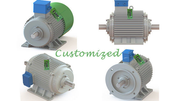 Generador sincrónico de magnetos permanentes de tierras raras/alternador de baja velocidad