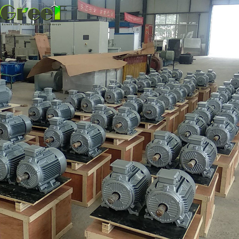 1MW 380Vac Energía libre Torsión de arranque bajo Generador de turbina hidroeléctrica 5MW PMG